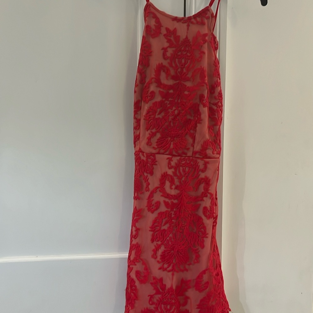 Xenia boutique sheer lace dress with nude lining